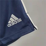 Ajax 2021/22 Blue Shorts