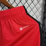 Flamengo 2023/24 Red Shorts