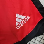 Flamengo 2023/24 Red Shorts