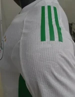 Algeria 2020/21 Home Player Version Jersey