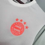 Bayern Munich 2020/21 Away Jersey