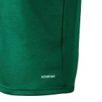 Celtic 2021/22 Away Jersey