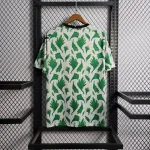 Nigeria 2022/23 Training Jersey