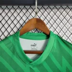 Manchester City 2023/24 Goalkeeper Jersey Green