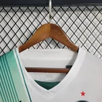 Palmeiras 2023/24 Away Long Sleeves Jersey