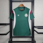 Palmeiras 2023/24 Pre-Match Training Jersey Green