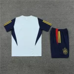 Spain 2023-24 Training Suit