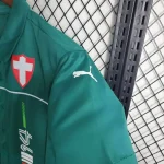 Palmeiras 2023/24 Pre-Match Training Jersey Green