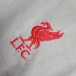 Liverpool 2024/25 Third Jersey