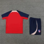 Atletico Madrid 2023-24 Training Suit