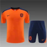 Netherlands 2024-25 Training Suit