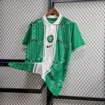 Nigeria 2024/25 Green Jersey